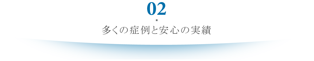 実績と症例
